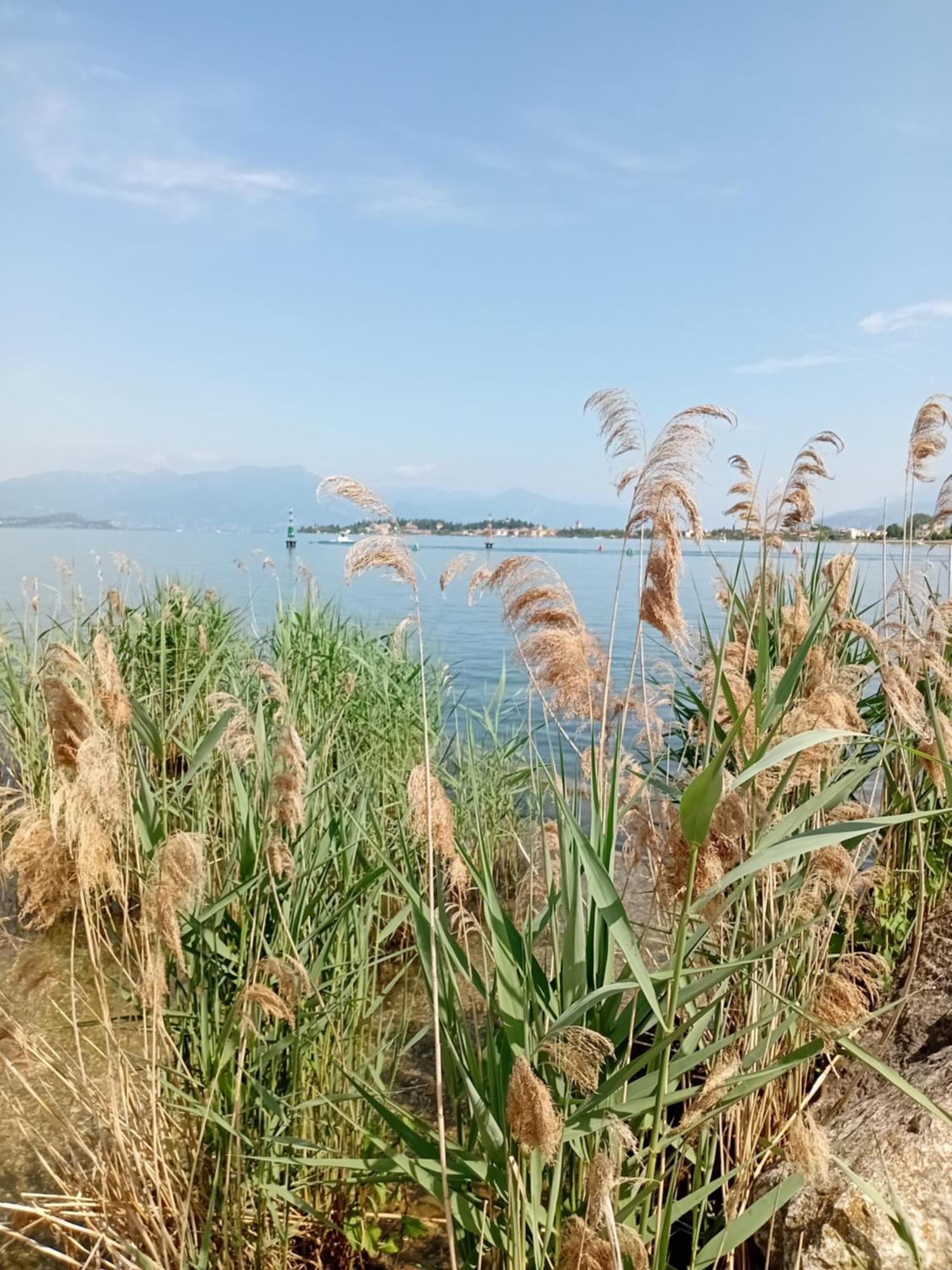 Miragarda Sirmione Daire Dış mekan fotoğraf